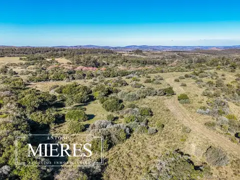 Campo de 23ha en Pueblo Eden 