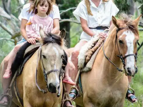 PUERTO QUETZAL - Club de Chacras & Olivos -