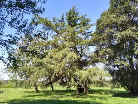 Campo en Venta de 3  ha