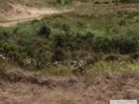 Terreno en venta - 2500mts2 - El Salvaje, Mar De Las Pampas