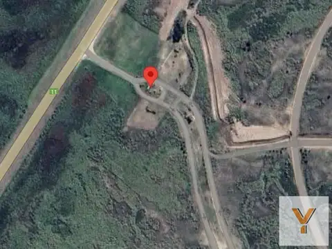 El Salvaje