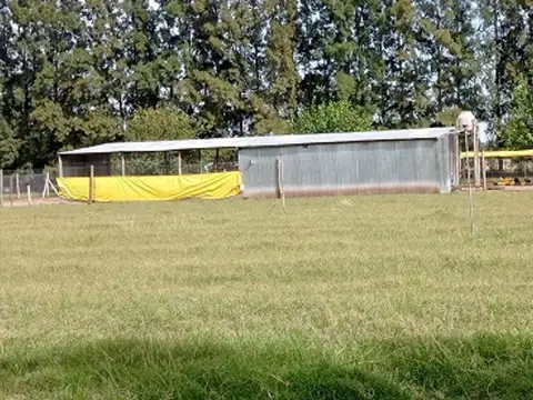 VENTA CAMPO EN CARDALES