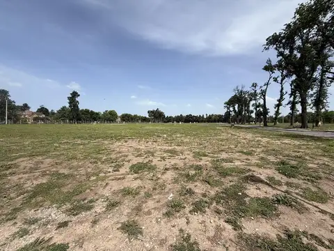 Terreno en Venta 20  mts Frente