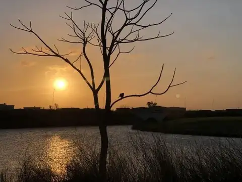 Puertos del Lago - Costas