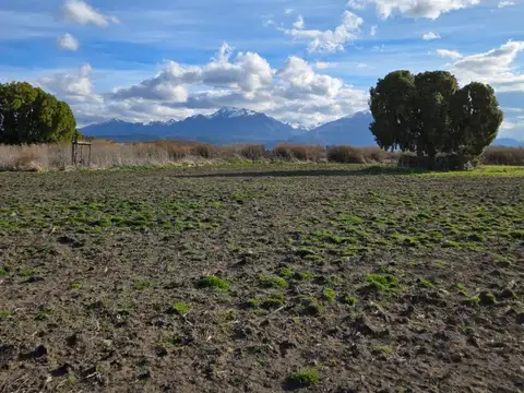 Campo en Venta de 10  ha