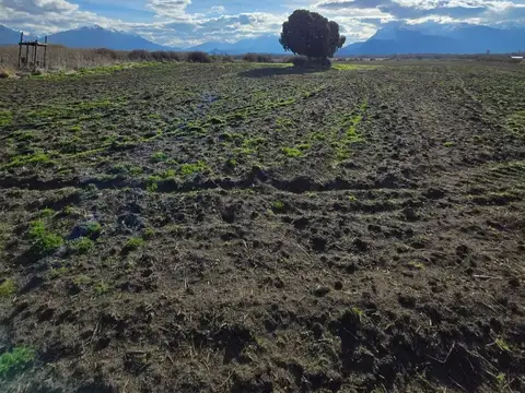 Campo en Venta Agrícola