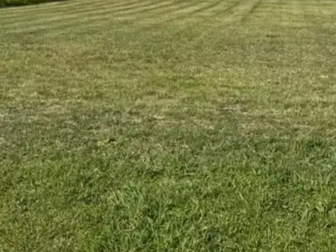 Terreno en Venta en Alejandro Petion, USD 43.000