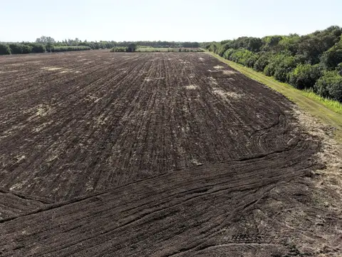 VENTA CAMPO 11 HAS CAMINO 60 CUADRAS KM 11 Y MEDIO