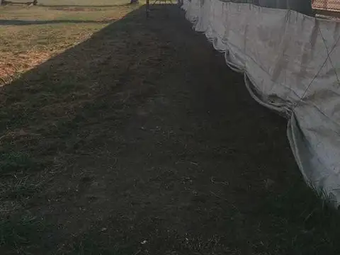 Campo en venta - 17.300Mts2 - Chacabuco