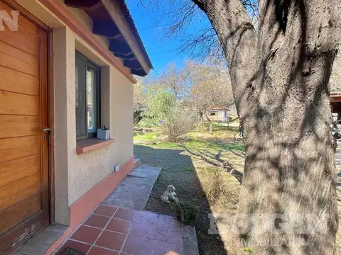 Los Pehuenches al 100