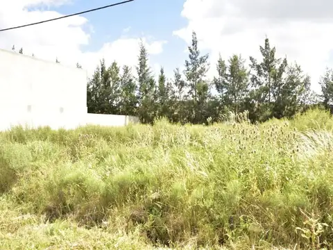LOTE EN VENTA BARRIO EL PARAISO LOS HORNOS