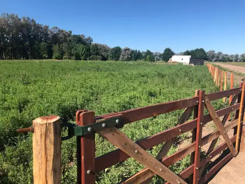 VENTA LOTE 2100M CHACRAS DE SAN ANDRES CERCA LUJAN