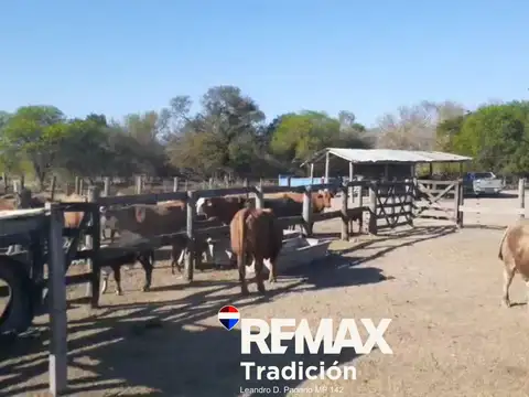 Lote 15 Sección VIII Circunscripción V Pc 30 Sobre Ruta 7 de la localidad de  Colonia Coronel Brandsen 100