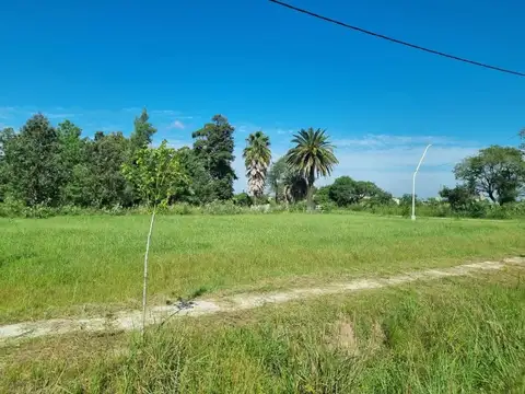 Terrenos en venta - 465mts2 - Sauce Viejo, Santa Fe