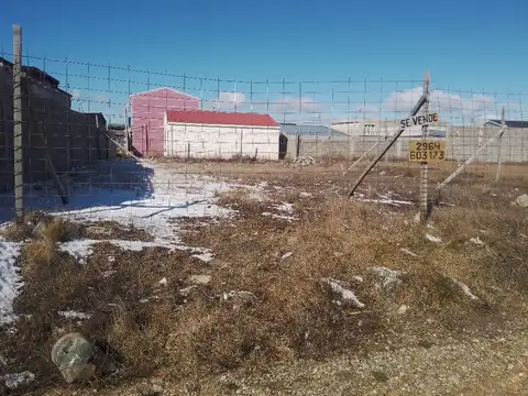 Barrientos de Calixto 1000