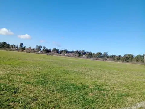 Complejo Deportivo en alquiler - 6 Canchas - Villa Elvira