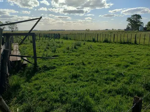 CAMPO EN BRAGADO 110 Hectáreas, GANADERO, APTO FEEDLOT