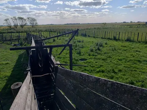 Campo en Venta en Olascoaga, Partido de Bragado