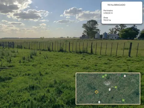 CAMPO EN BRAGADO 110 Hectáreas, GANADERO, APTO FEEDLOT