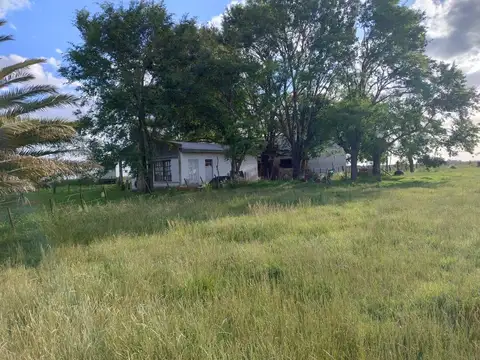 CAMPO EN BRAGADO 110 Hectáreas, GANADERO, APTO FEEDLOT