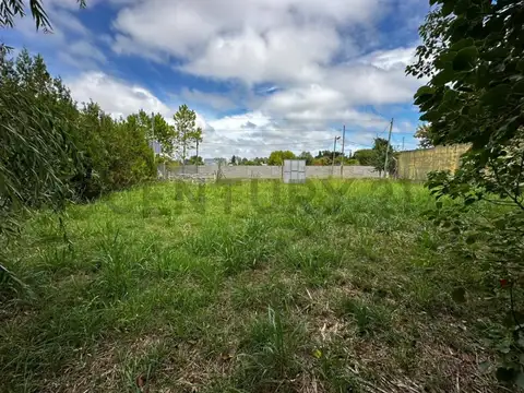 LOTE EN VENTA EN VILLA ELISA