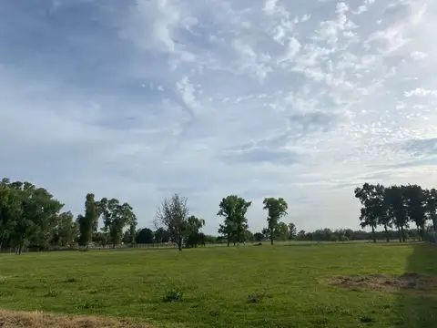 Terreno en Venta de 1348,0 m2