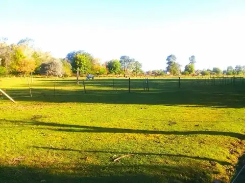 Terreno en Venta de 91365,0 m2