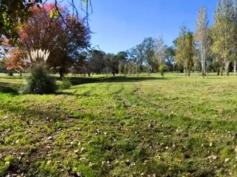 Terreno en Venta de 850,0 m2
