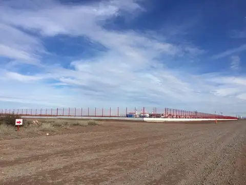Lote 4 ha  Parque Industrial Añelo Vaca Muerta