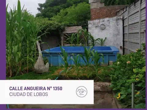 Angueira 1300