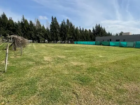 Terreno en Venta de 800,0 m2