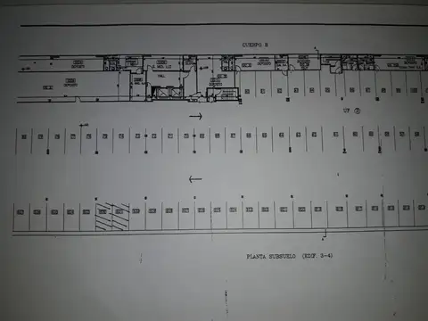 Pierina dealessi 100