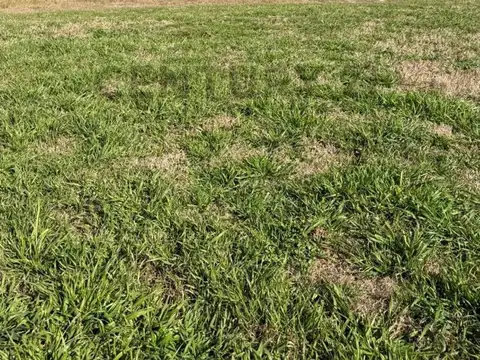 Terreno en Venta 42  mts Fondo