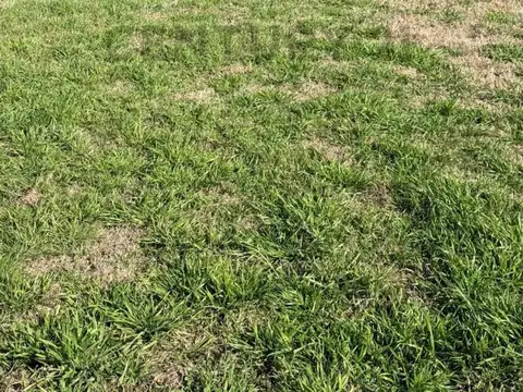 Terreno en Venta en Puertos - Barrio Marinas, USD 185.000