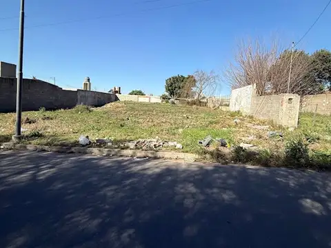 Juncalillo 600
