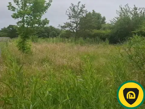 Terreno en Venta 78  mts Fondo