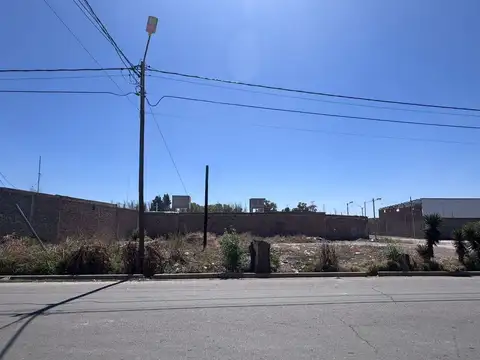 Segundo Callejón Morales