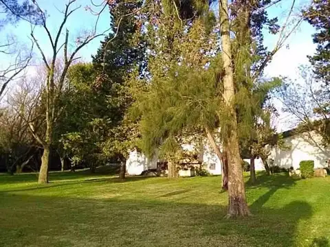 Libertad  Al 3700