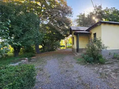 José Néstor Lencinas 700