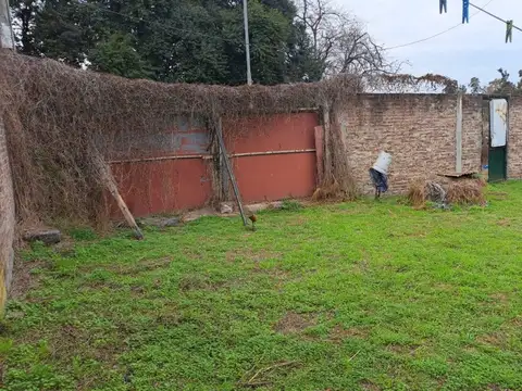 Amenedo 3600