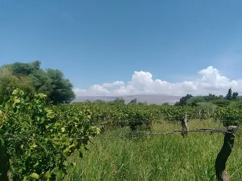 Se Vende terreno en Fiambala