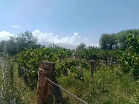 Terreno en Venta de 428,0 m2