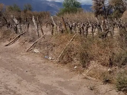 Se Vende terreno en Fiambala