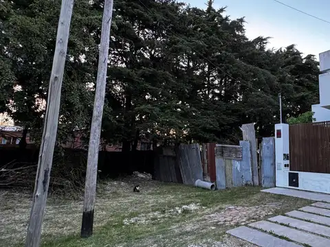 503 entre 28 y cortada