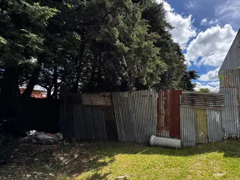 503 entre 28 y cortada