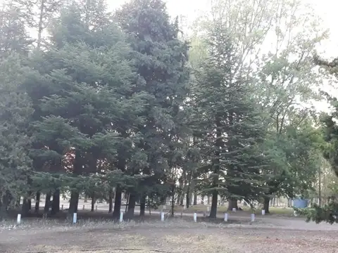 Arroyito