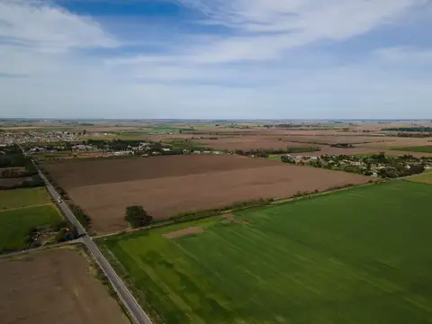 VENTA CAMPO 19,3 HA EN PTO GRAL SAN MARTIN