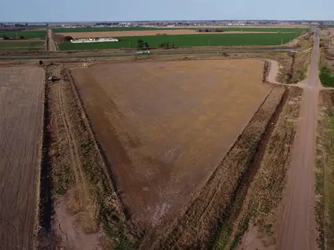 Campo agrícola en Maciel