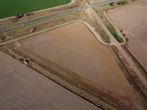 Campo agrícola en Maciel