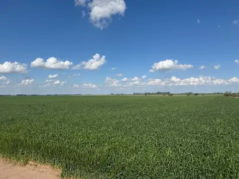 CAMPO AGRICOLA EN VENTA EL SOCORRO
